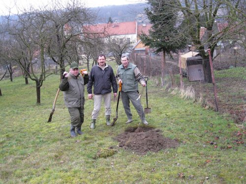 Zahrádkáři - sázení ovocných stromů ve školní zahradě - 15.3.2015